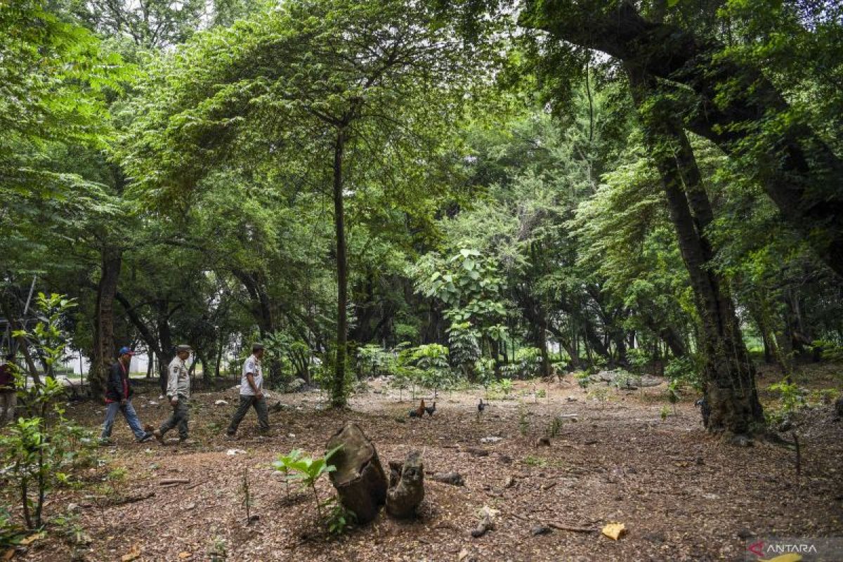 Heru: Manfaatkan hutan kota dengan kegiatan positif