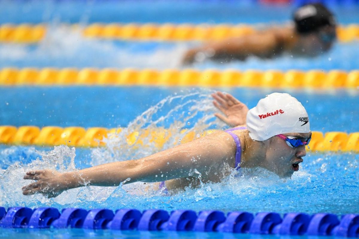 Atlet dunia perkuat kontingen renang China di Universiade Chengdu