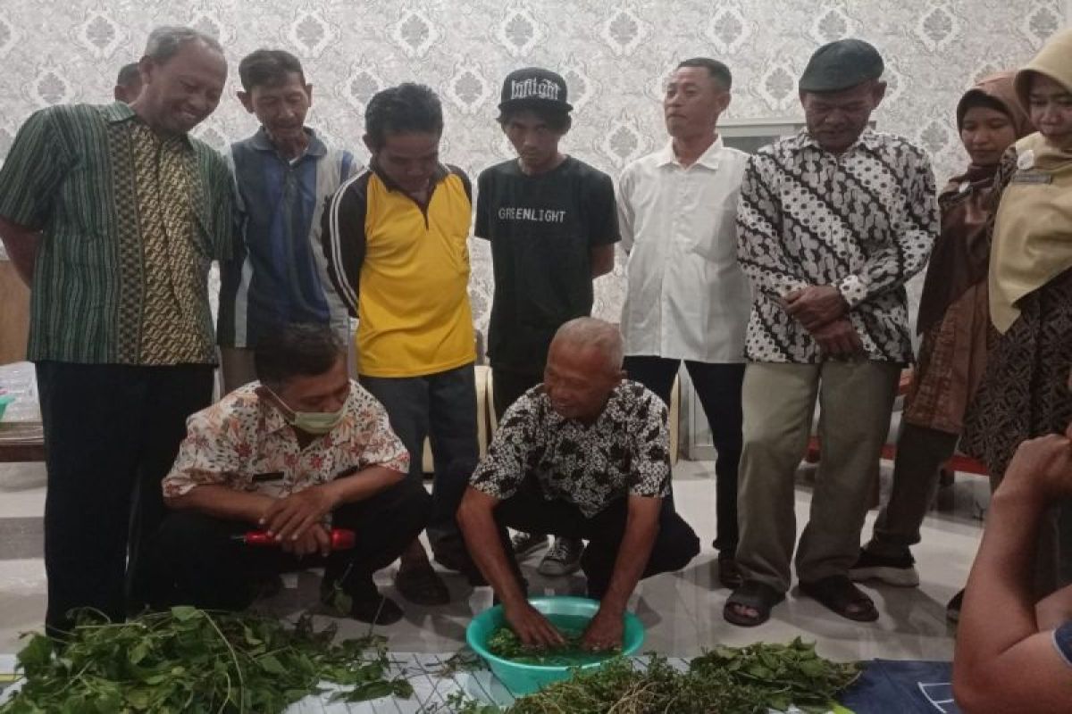 Pemkot  Pekalongan minta petani hemat gunakan pupuk kimia