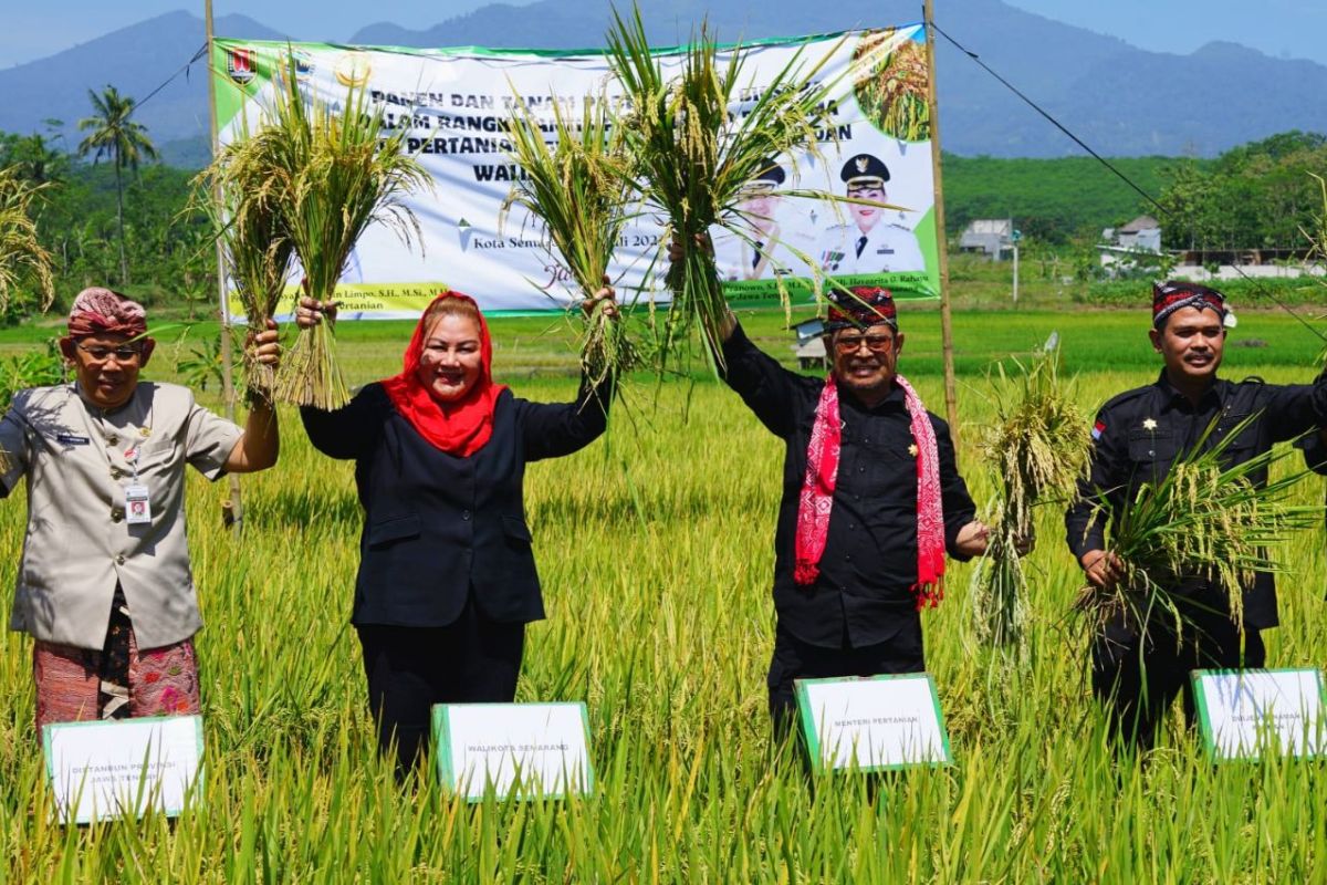 Biosaka disebut percepat panen padi