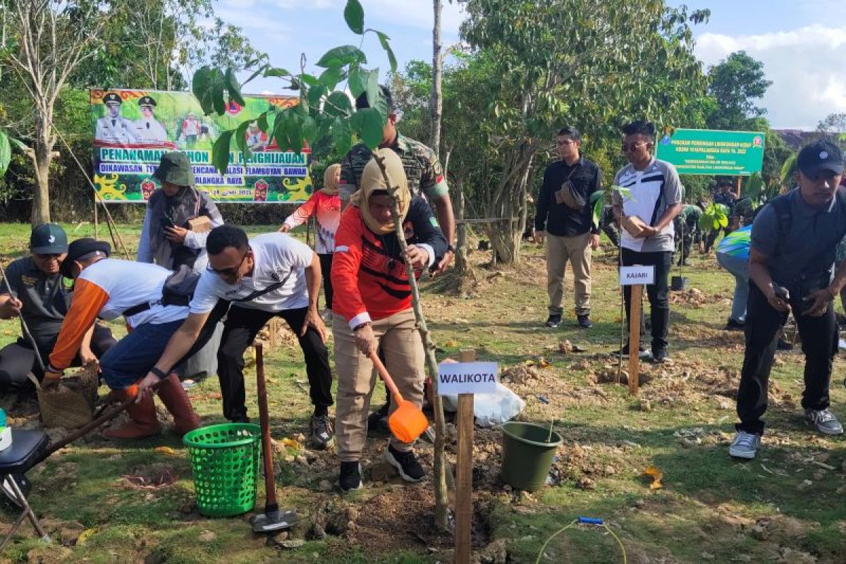 Cegah abrasi di DAS Kahayan, Pemkot Palangka Raya tanam 935 bibit pohon