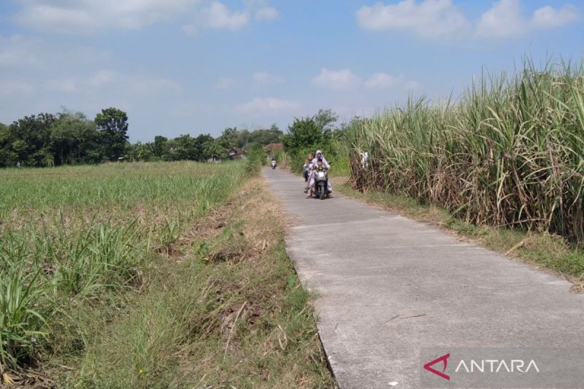 Kudus tetapkan status siaga darurat bencana kekeringan