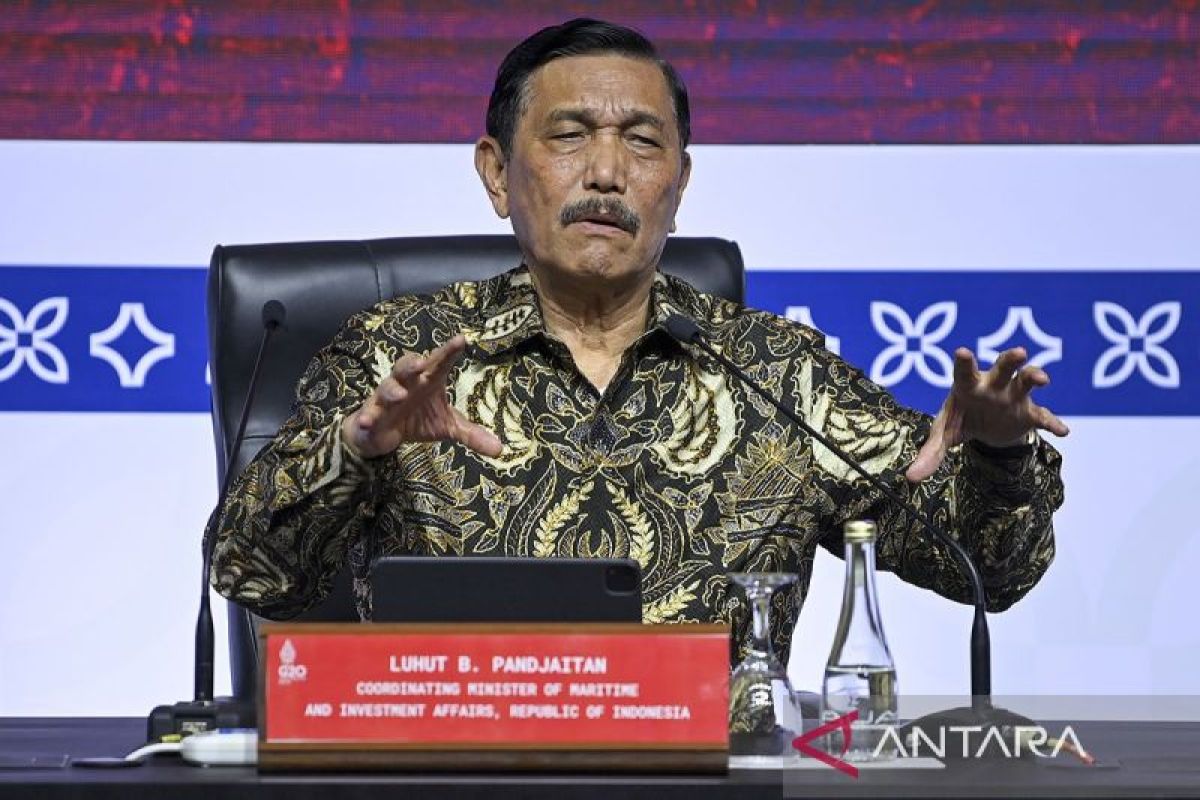 Luhut minta pelaku usaha segera sampaikan data lahan sawit