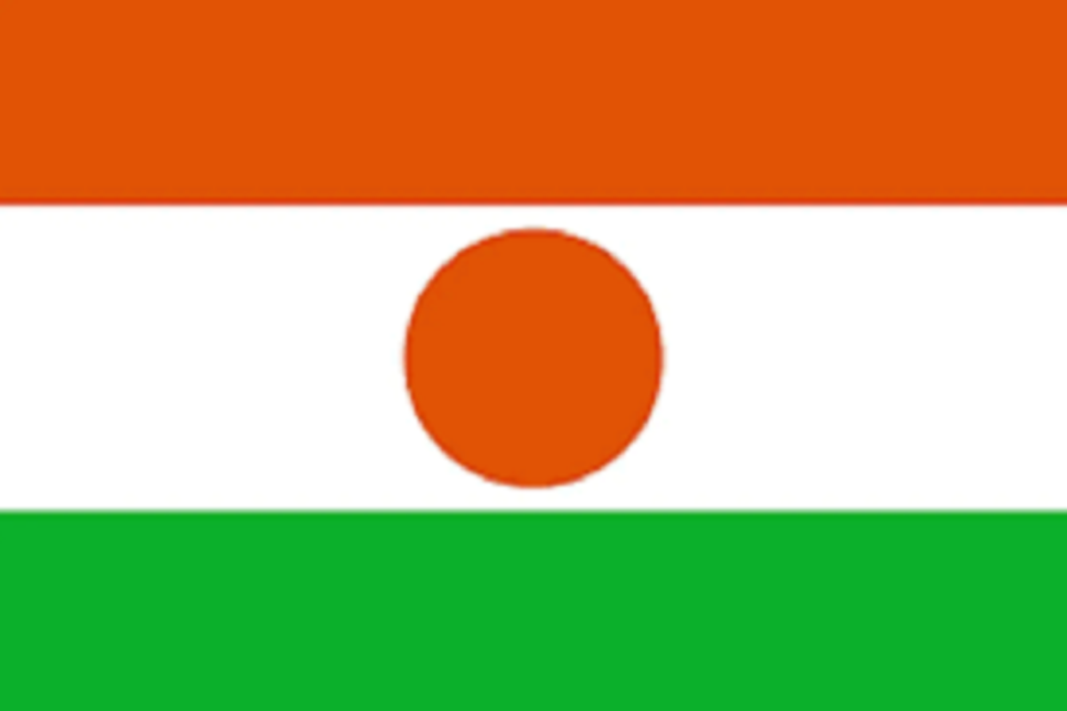 Tentara Niger umumkan kudeta lewat televisi nasional