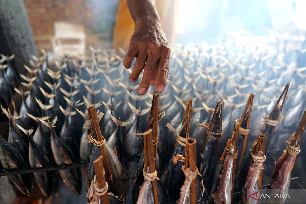 Seorang warga memasak ikan asap di Kabupaten Gorontalo, Gorontalo. ANTARA/Adiwinata Solihin