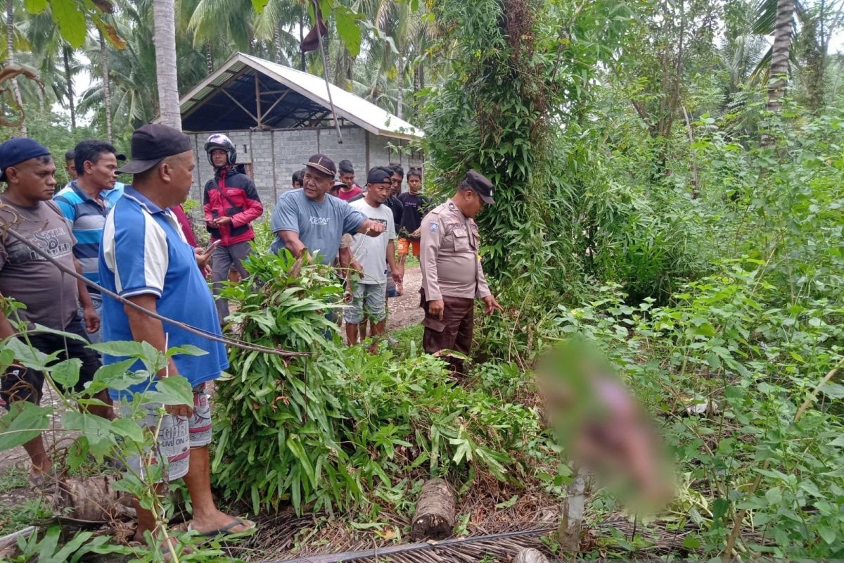 Warga Kintom Banggai tewas tersengat listrik saat cari sapi di kebun