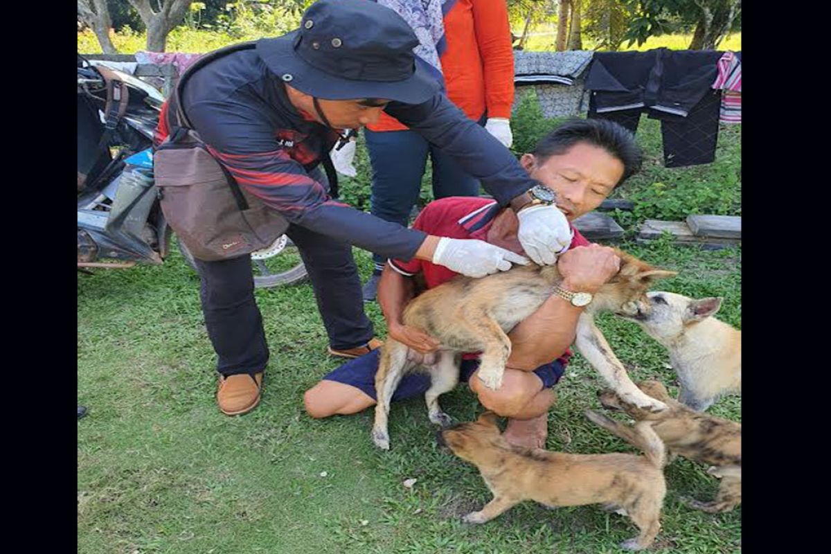 Antisipasi penyakit rabies, DKPP Seruyan vaksinasi hewan peliharaan warga