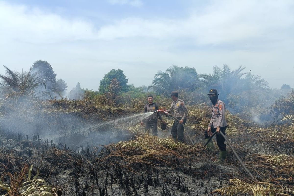 Karhutla di Rohil dijinakkan usai beberapa hari pemadaman