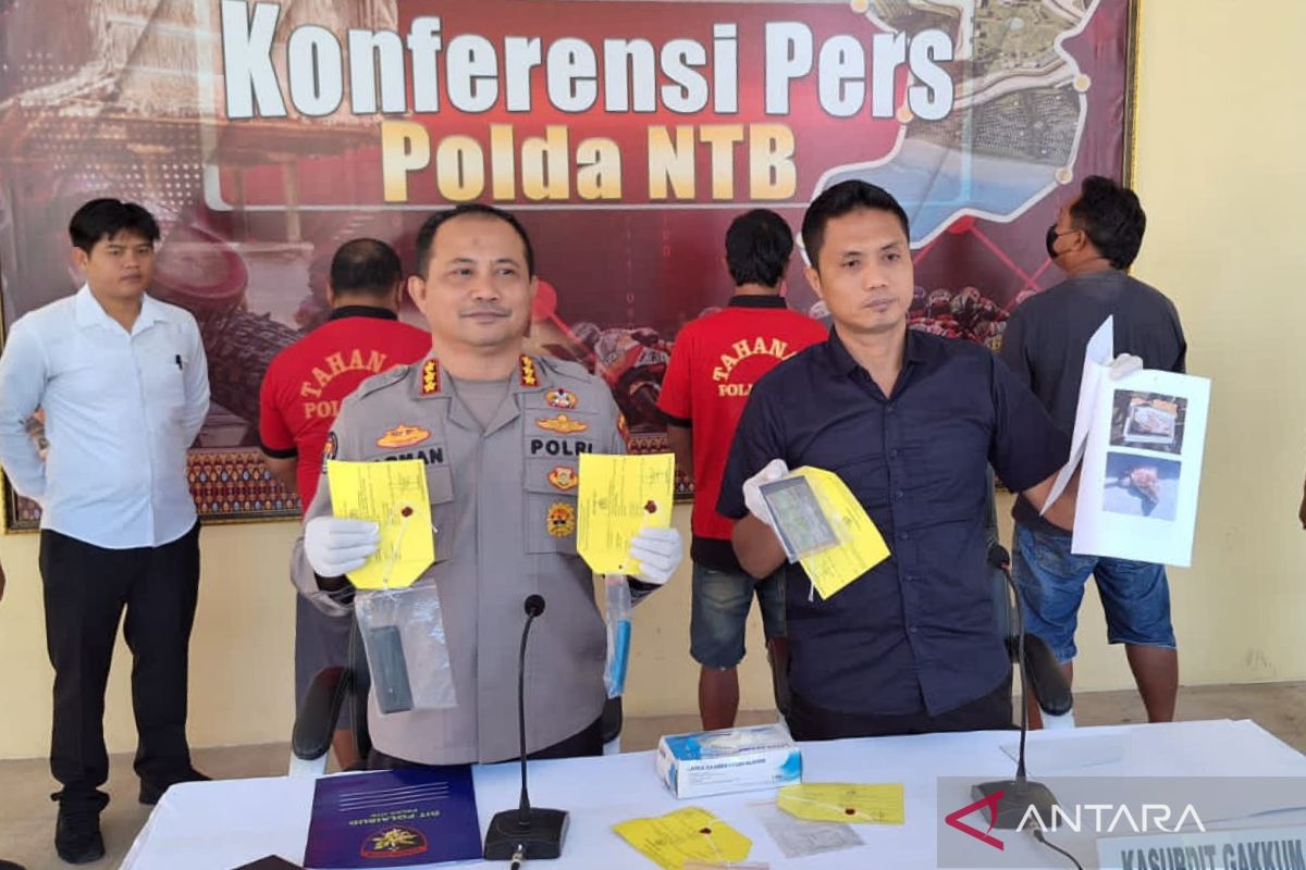 Polda NTB membongkar bisnis penjualan daging penyu hijau