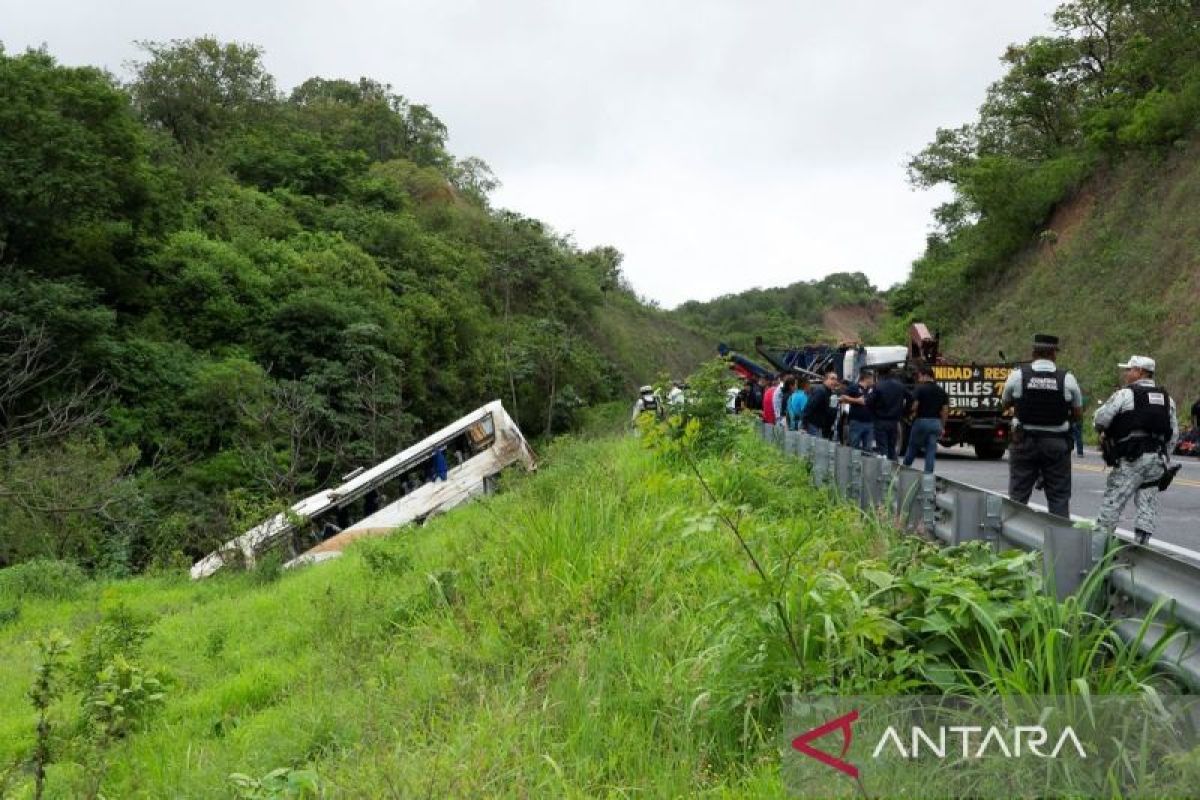 Belasan orang tewas akibat tabrakan bus dan truk