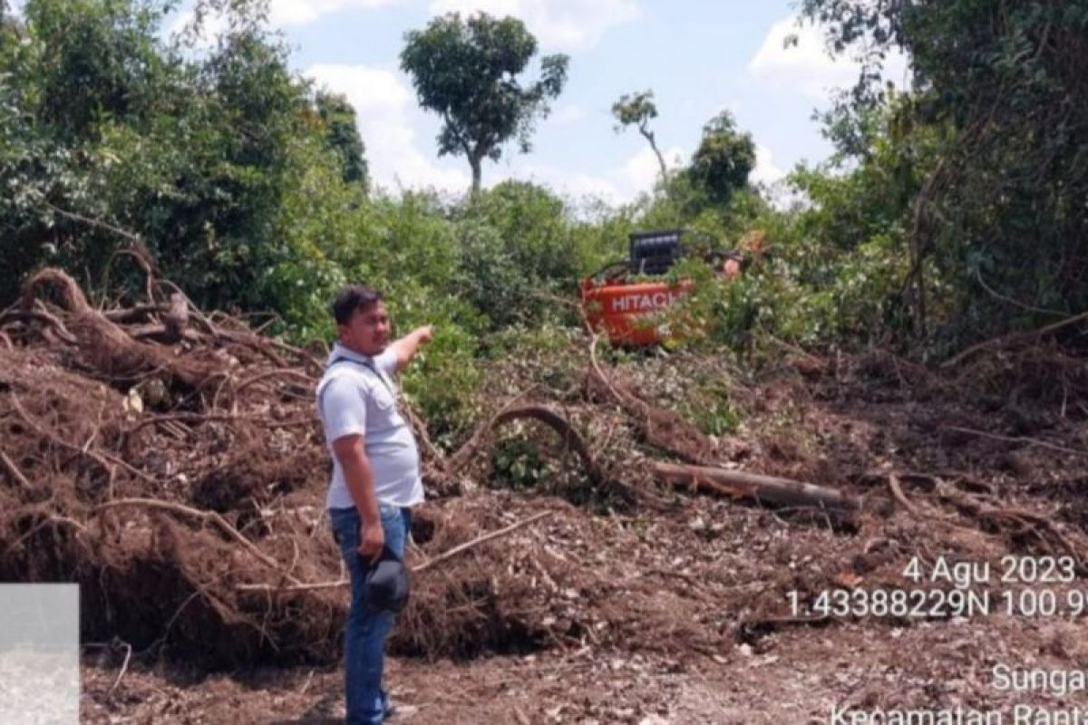 Operator alat berat diamankan di kawasan hutan produksi Rohil