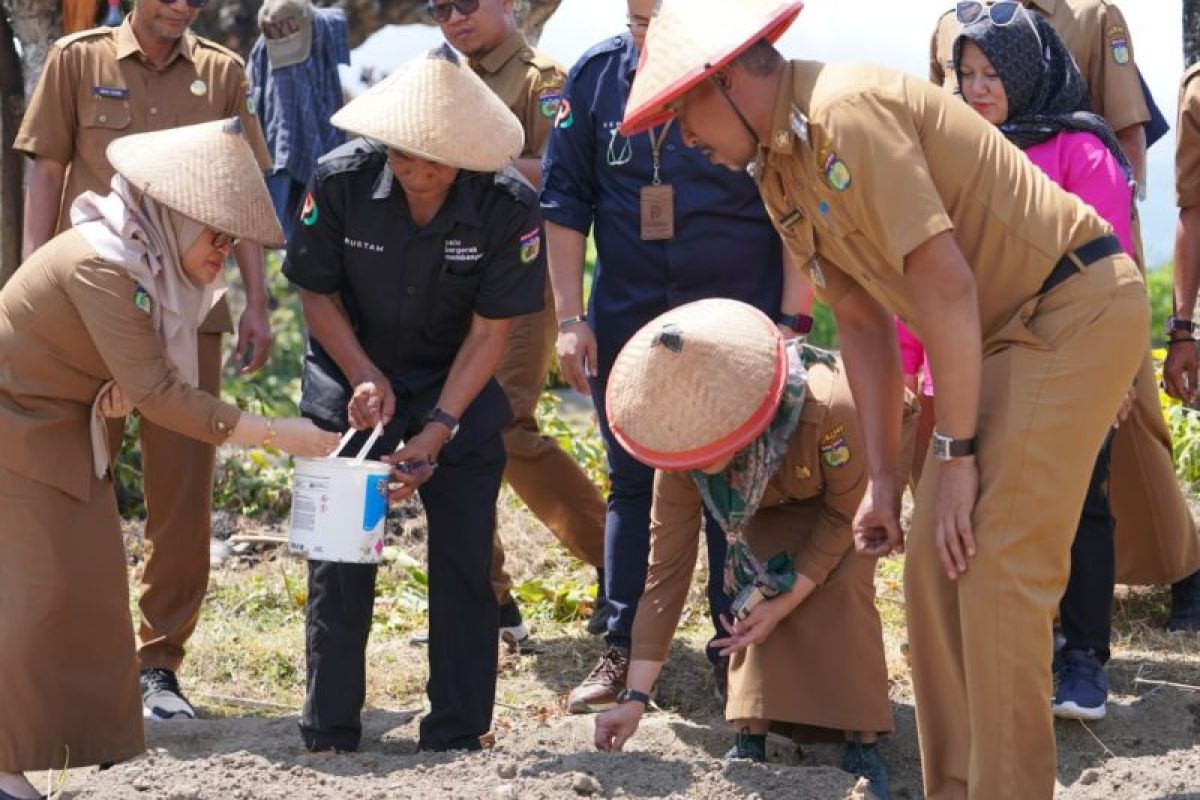 Pemkot minta petani tetap tanam bawang merah varietas unggul