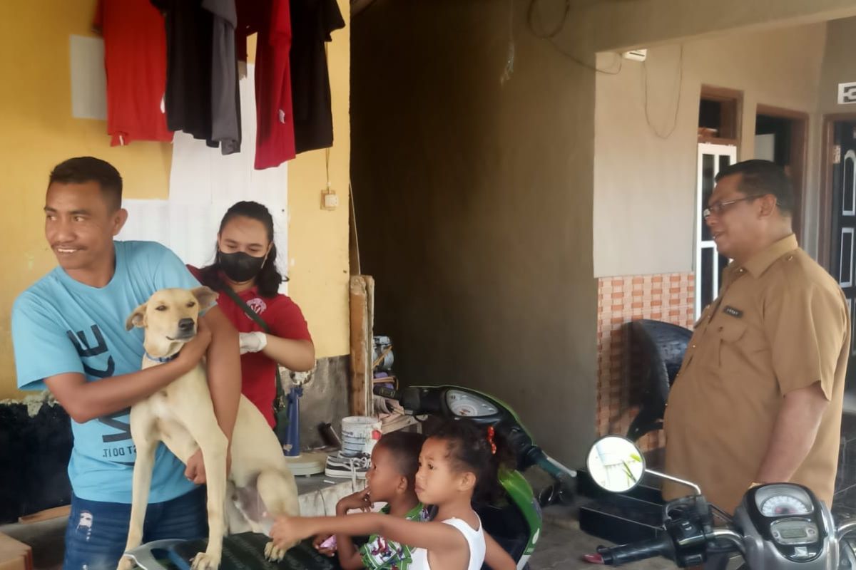 Pemkot Kupang  vaksinasi anjing milik warga cegah rabies