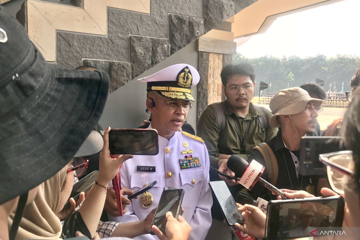 Kapuspen TNI soal angkatan siber: Ideal, tetapi harus dikaji ilmiah