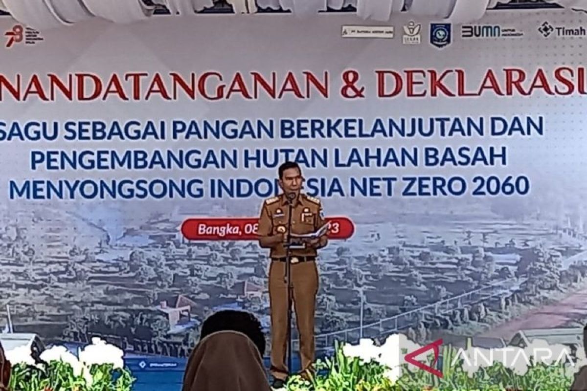 Pemprov Babel kembangkan tanaman sagu di 176.144 hektare lahan bekas tambang