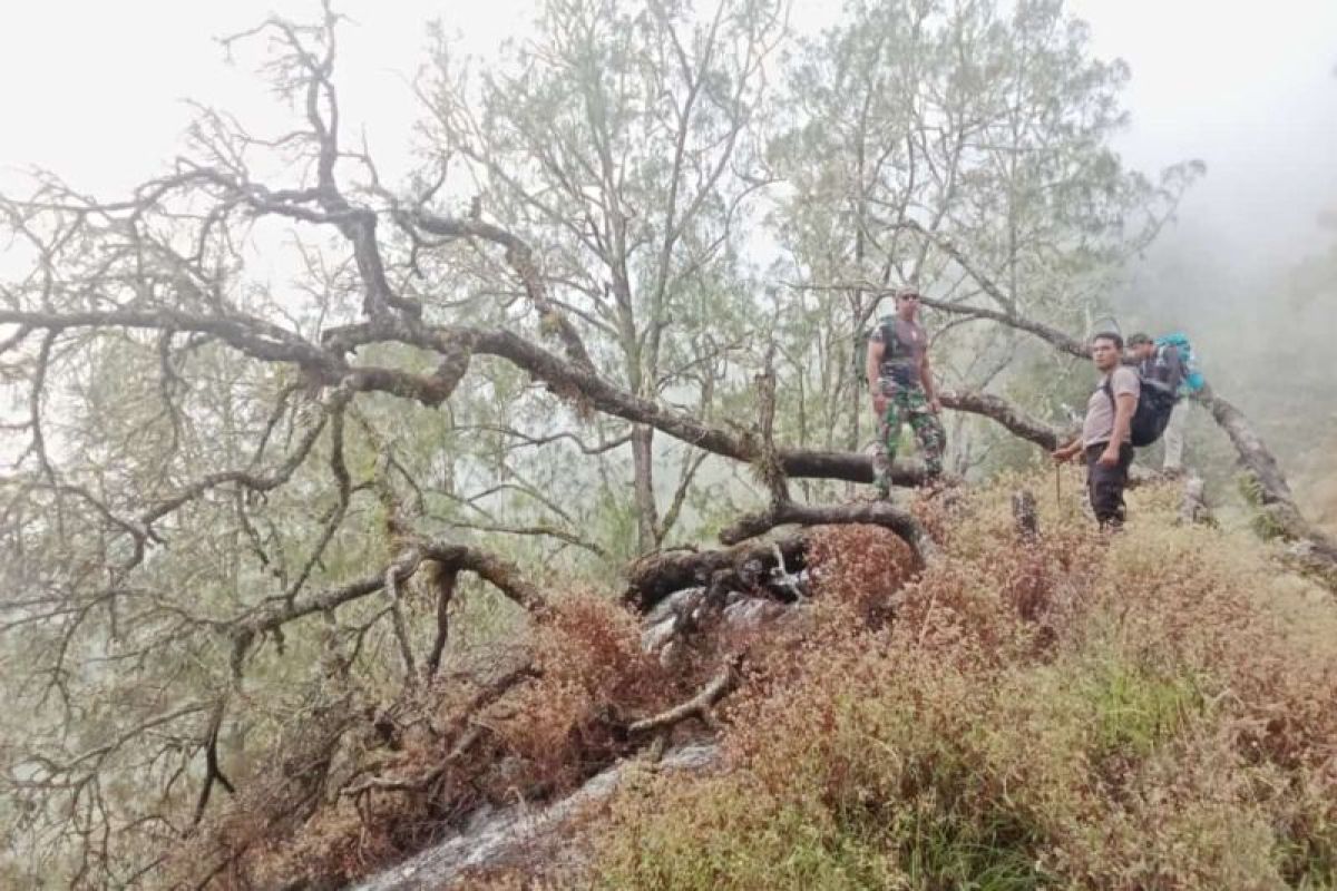 Kebakaran lahan di jalur pendakian Gunung Rinjani sudah padam