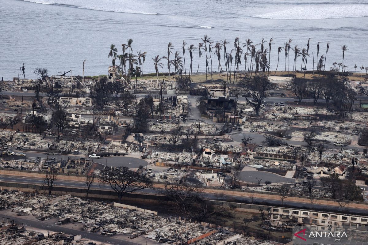 Korban tewas akibat kebakaran di Hawaii  jadi 53 orang