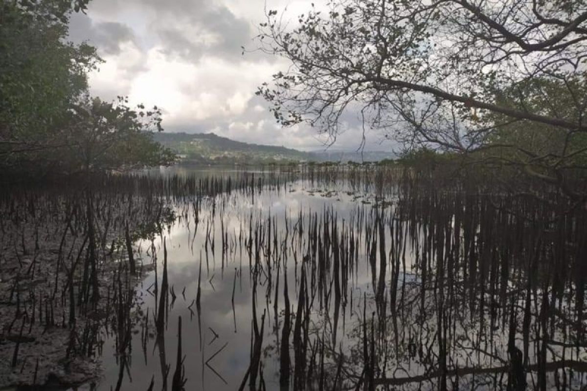 Warga Lingsar Lombok Barat hilang di hutan Sumbawa