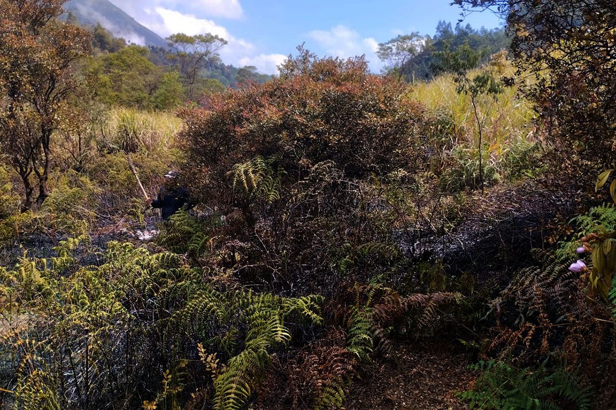 Kebakaran lahan di sekitar Kawah Sikidang berhasil dipadamkan