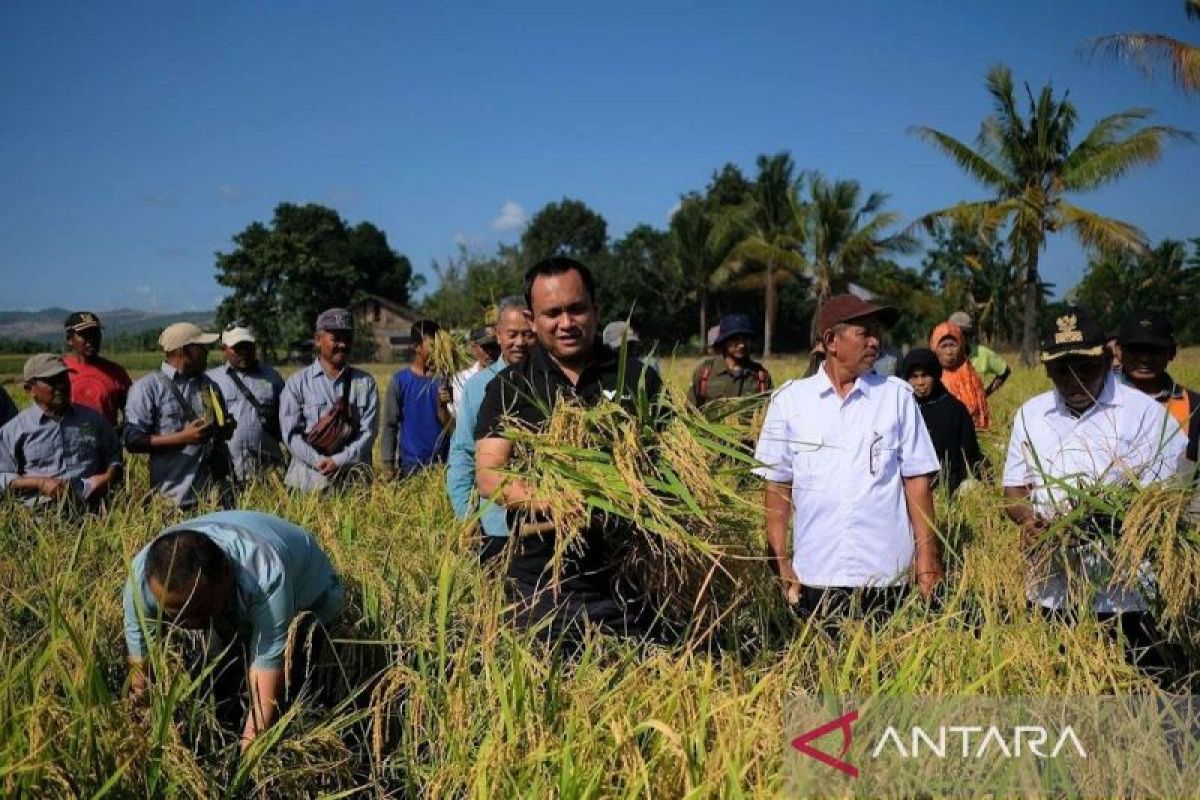 PT Vale mulai bangun pusat pembibitan IGP di Kolaka