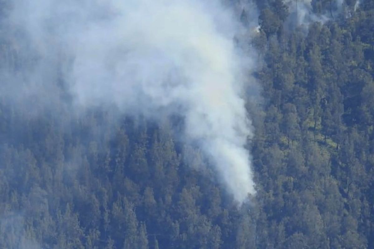 Tim gabungan tangani kebakaran Taman Nasional Bromo Tengger Semeru