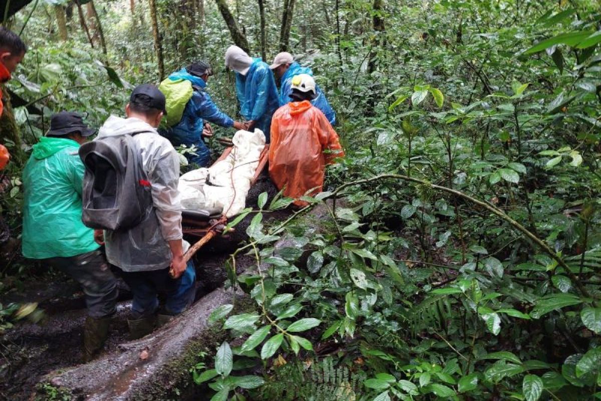 Tim SAR evakuasi pendaki yang cedera di Gunung Kerinci hari ini
