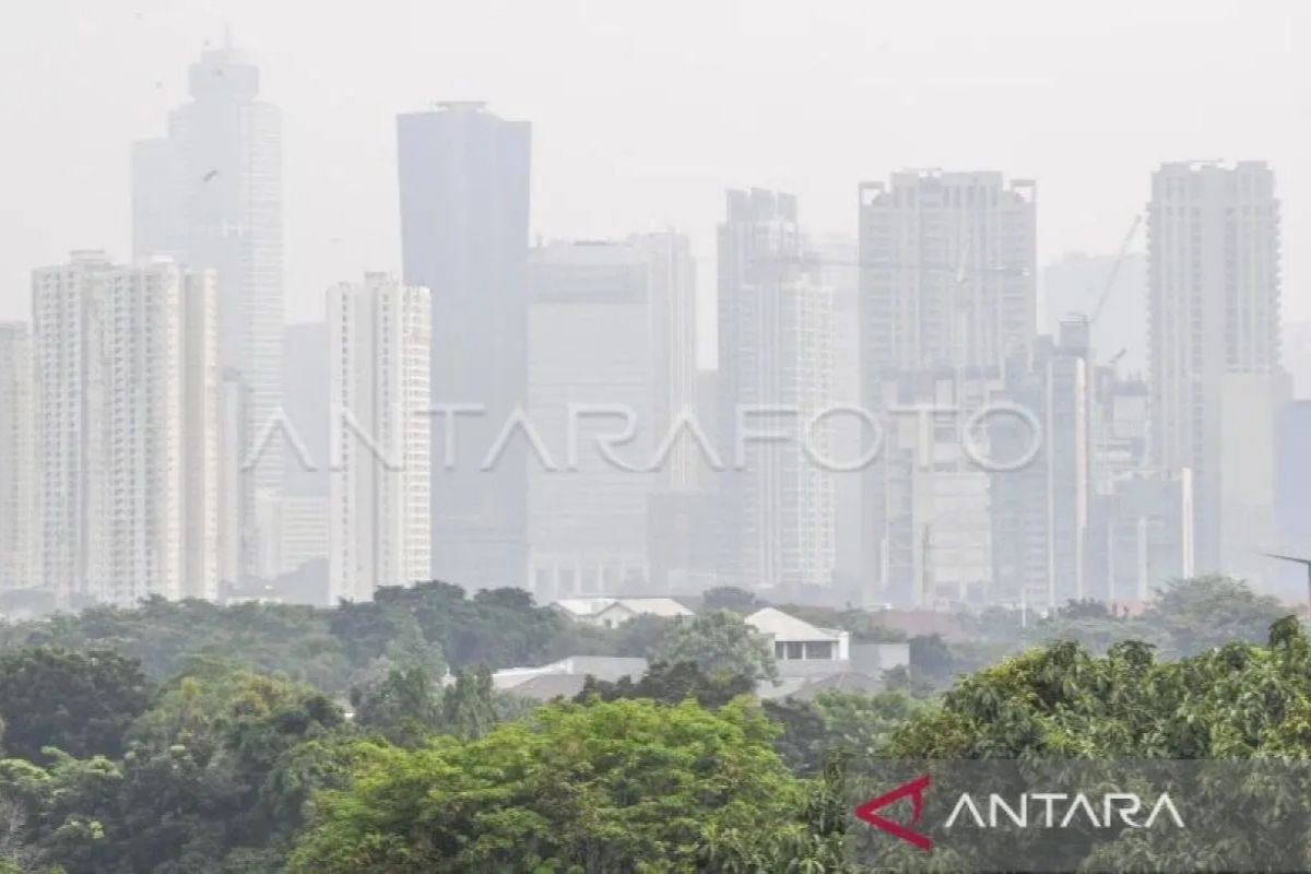 Pengamat: Pemerintah diminta fokus pada pemulihan hutan dan kawasan hijau