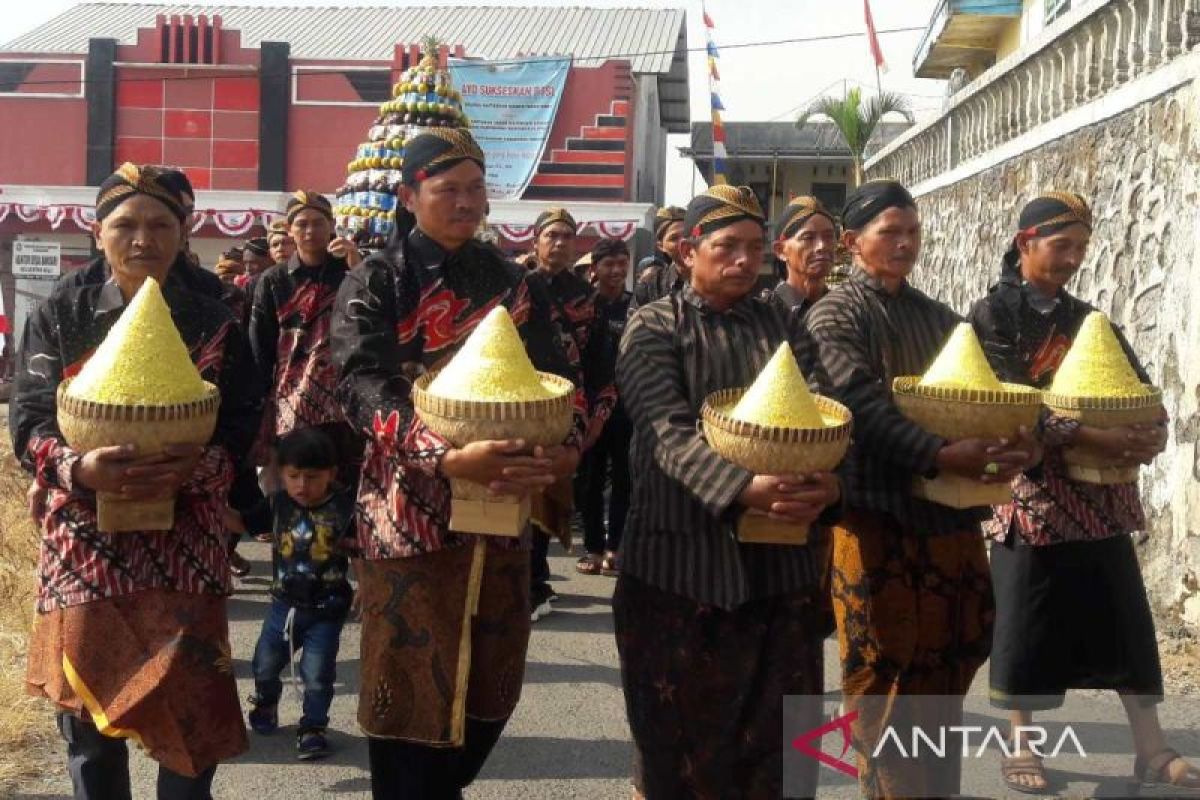 Ratusan tumpeng disajikan saat panen perdana tembakau di Temanggung