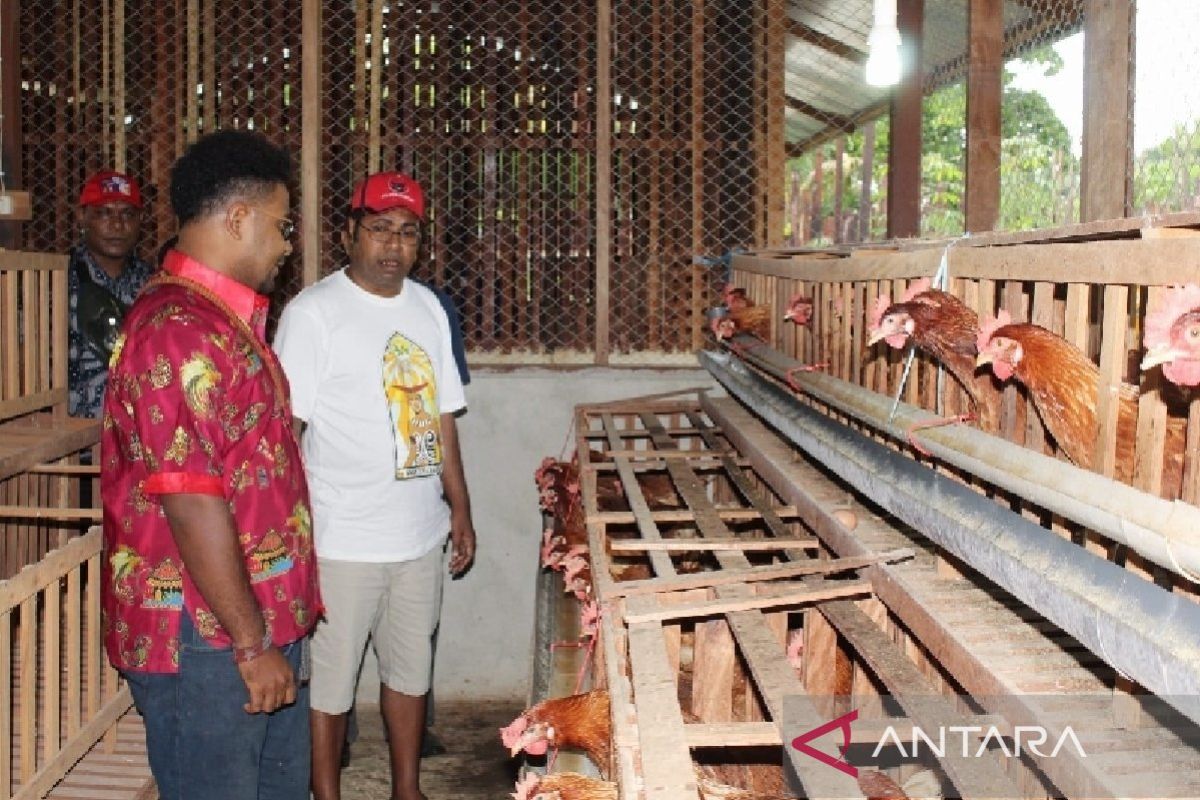 Pemkab Biak minta penyaluran KUR untuk pelaku UMKM OAP tanpa agunan