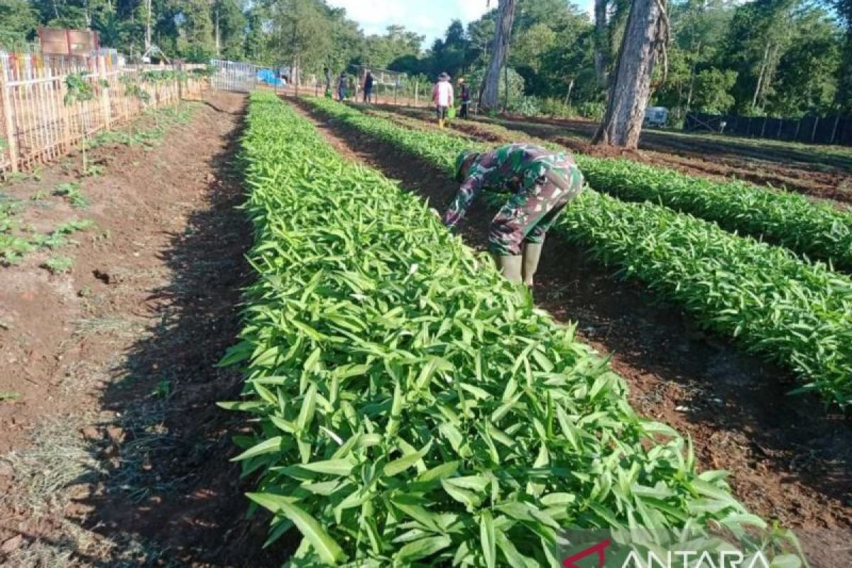 Pangdam XIV/Hasanuddin majukan "food estate" untuk atasi inflasi