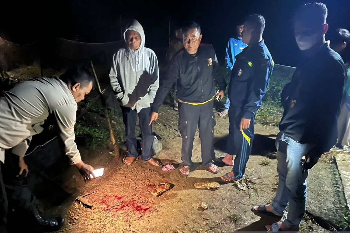 Polres Solok tangkap pelaku penganiayaan menantu hingga tewas