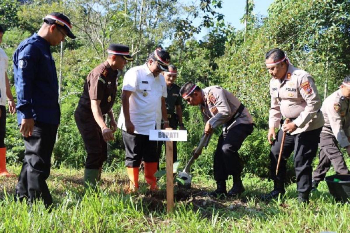 Polri Lestarikan Negeri tanam 300 Batang Pohon di Teluk Embun Lubuk Sikaping