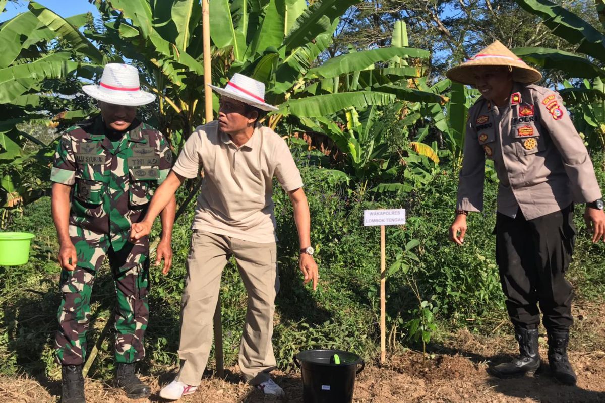 Hutan Desa Lantan Lombok Tengah dihijaukan