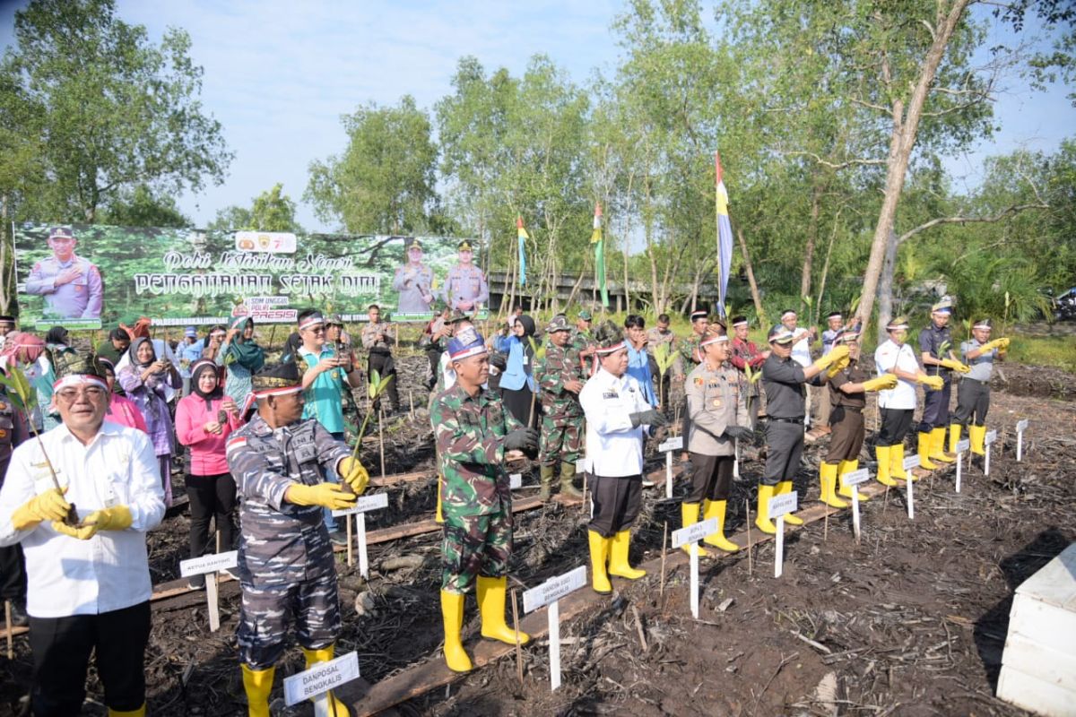 Hutan mangrove di Bengkalis bisa jadi destinasi wisata