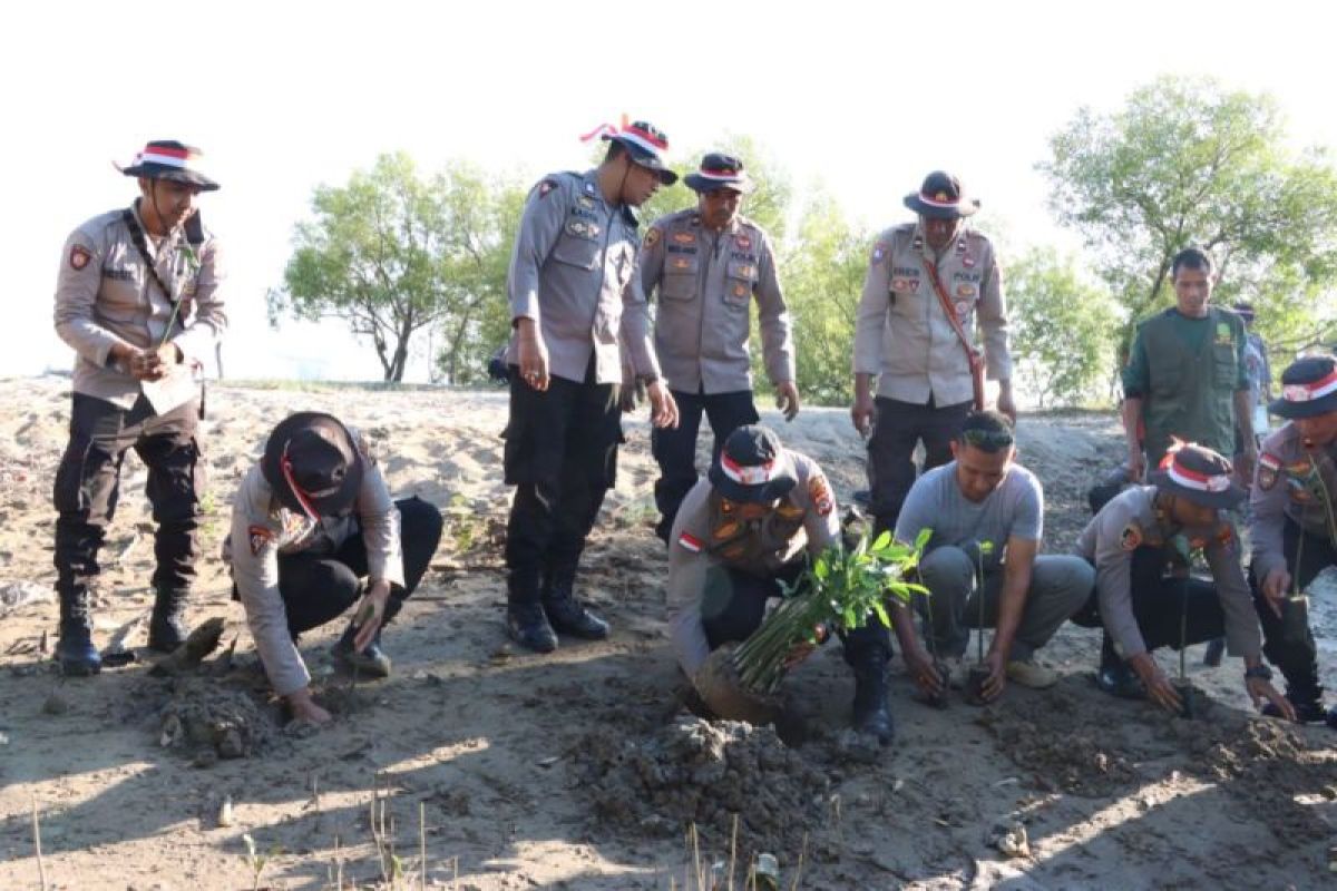 Polres Kupang hijaukan pantai Sulamanda dengan 1.000 mangrove