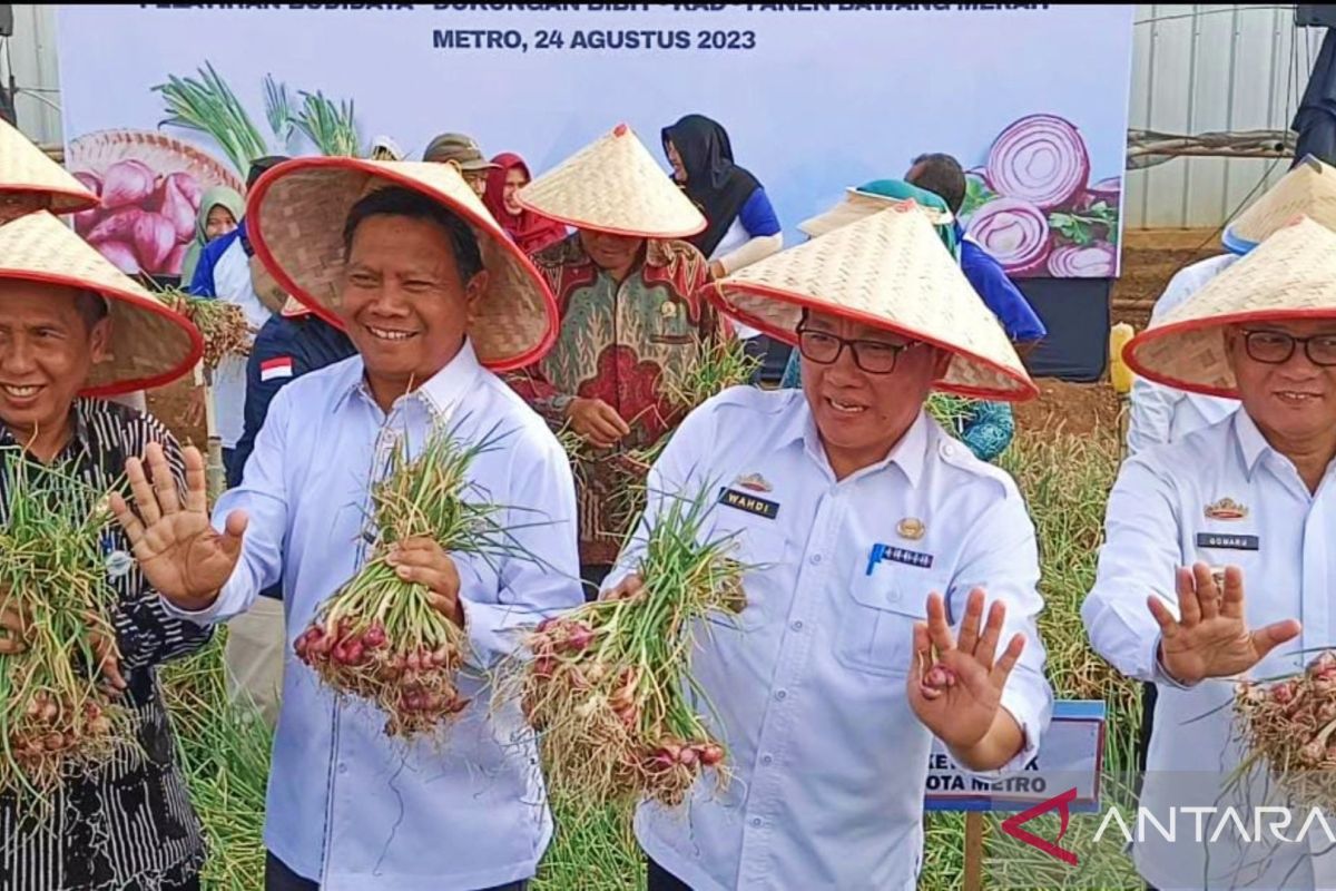 Pemkot Metro jalin kerja sama pengembangan bawang merah dengan Brebes