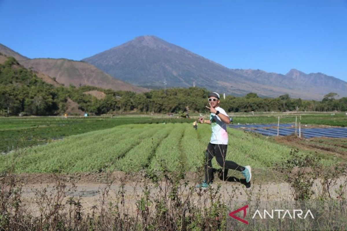 Kunjungan wisatawan ke kaki Gunung Rinjani menggeliat