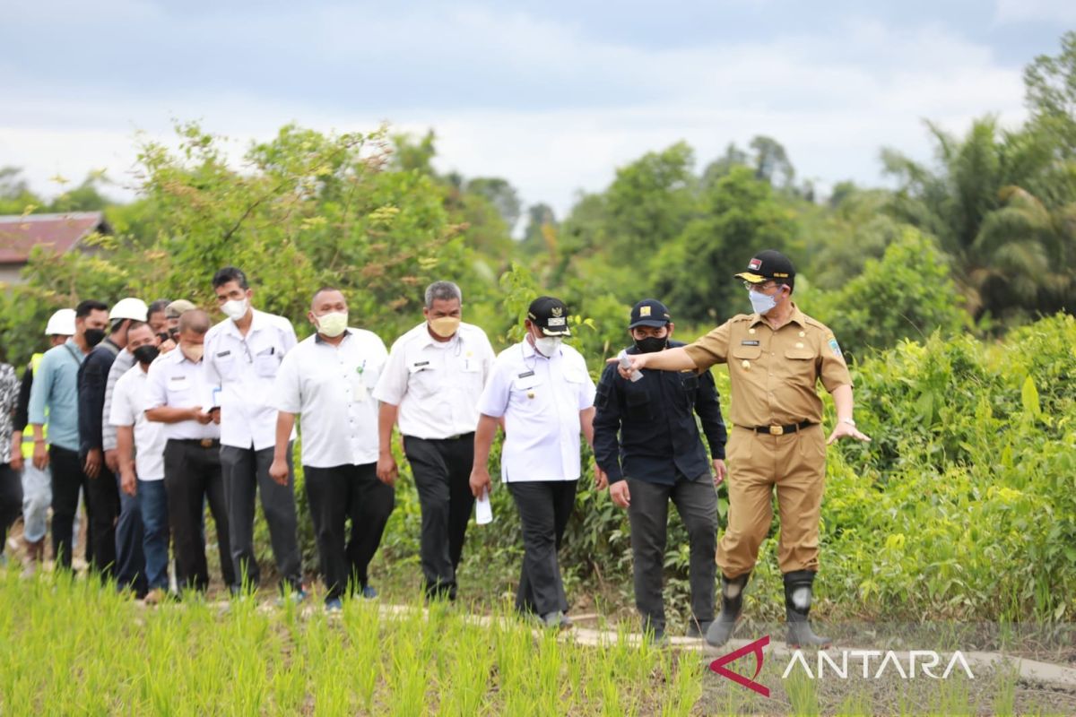 Antisipasi Kaltara hadapi dampak El Nino