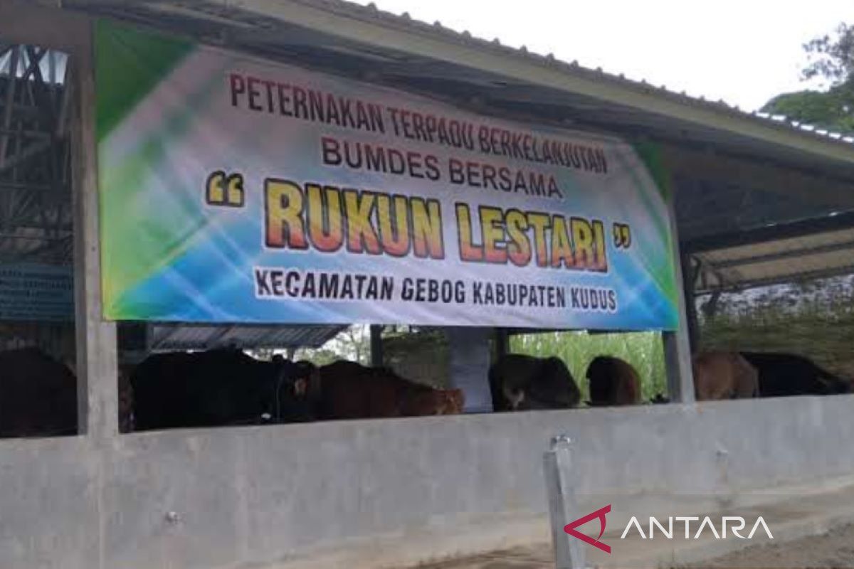 Pemkab catat jumlah BUMDes di Kudus  bertambah