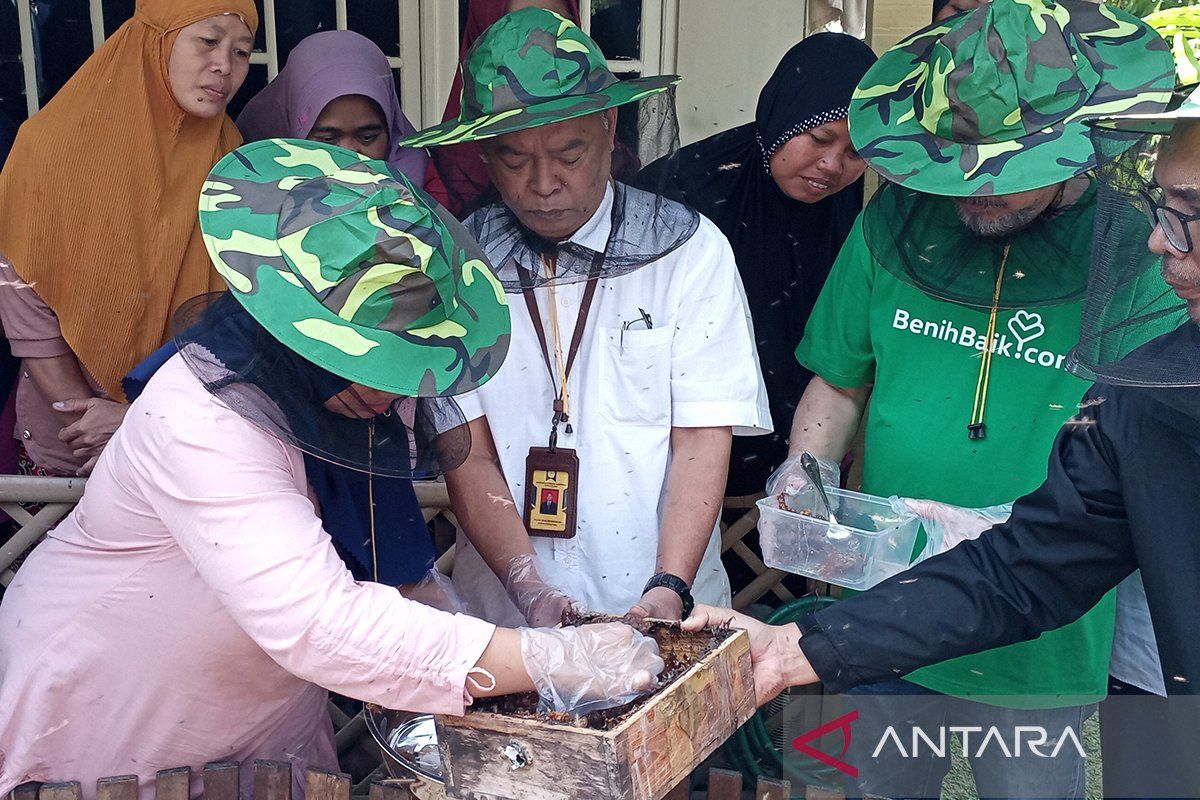 Unsoed  kembangkan budi daya lebah klanceng dukung ekonomi masyarakat