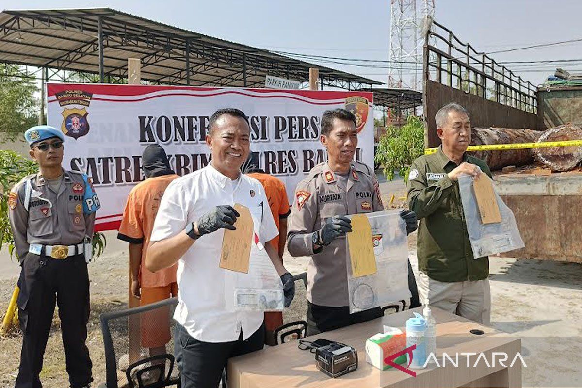 Polres Barsel amankan dua terduga pelaku ilegal logging