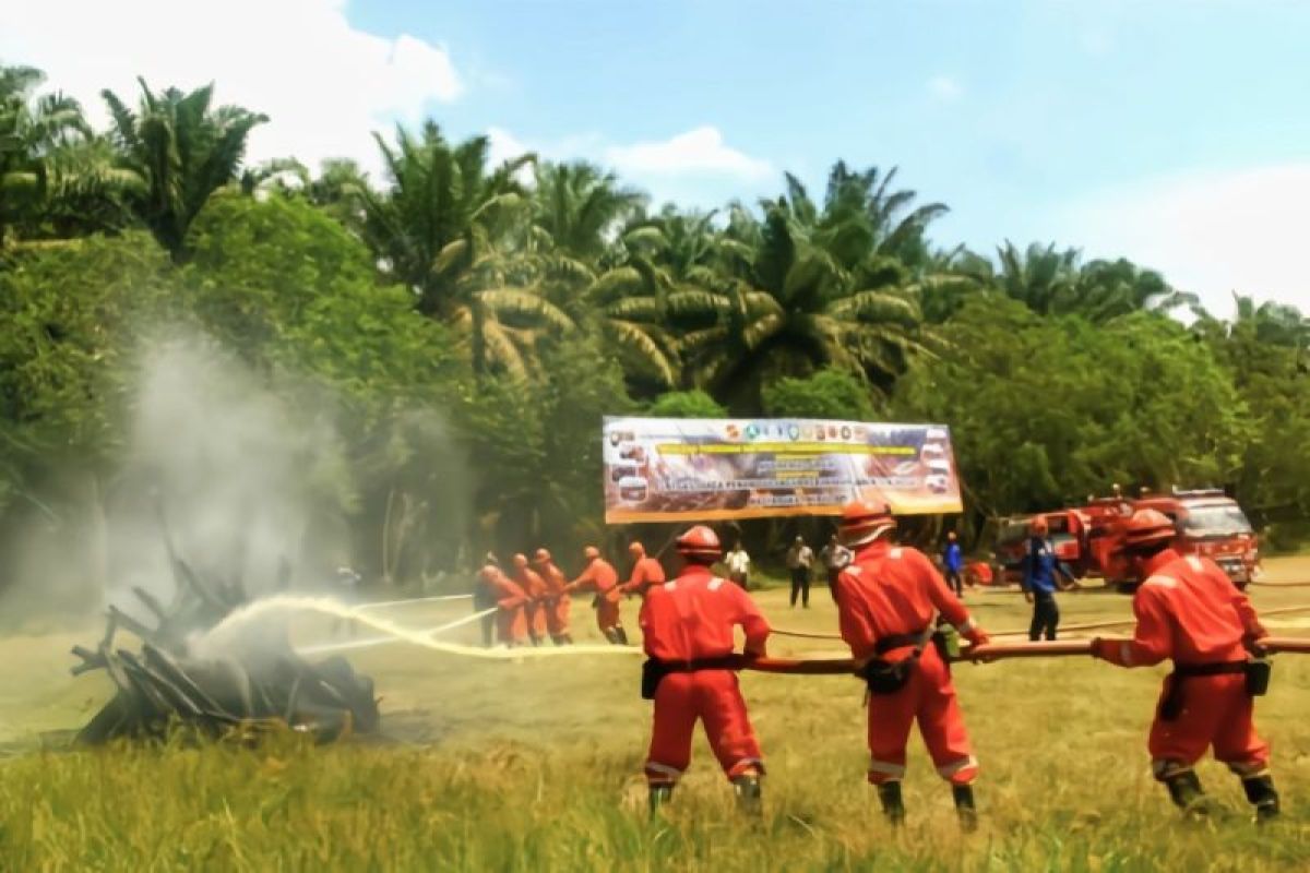 Disbun Kalteng minta perusahaan perkebunan bantu atasi karhutla