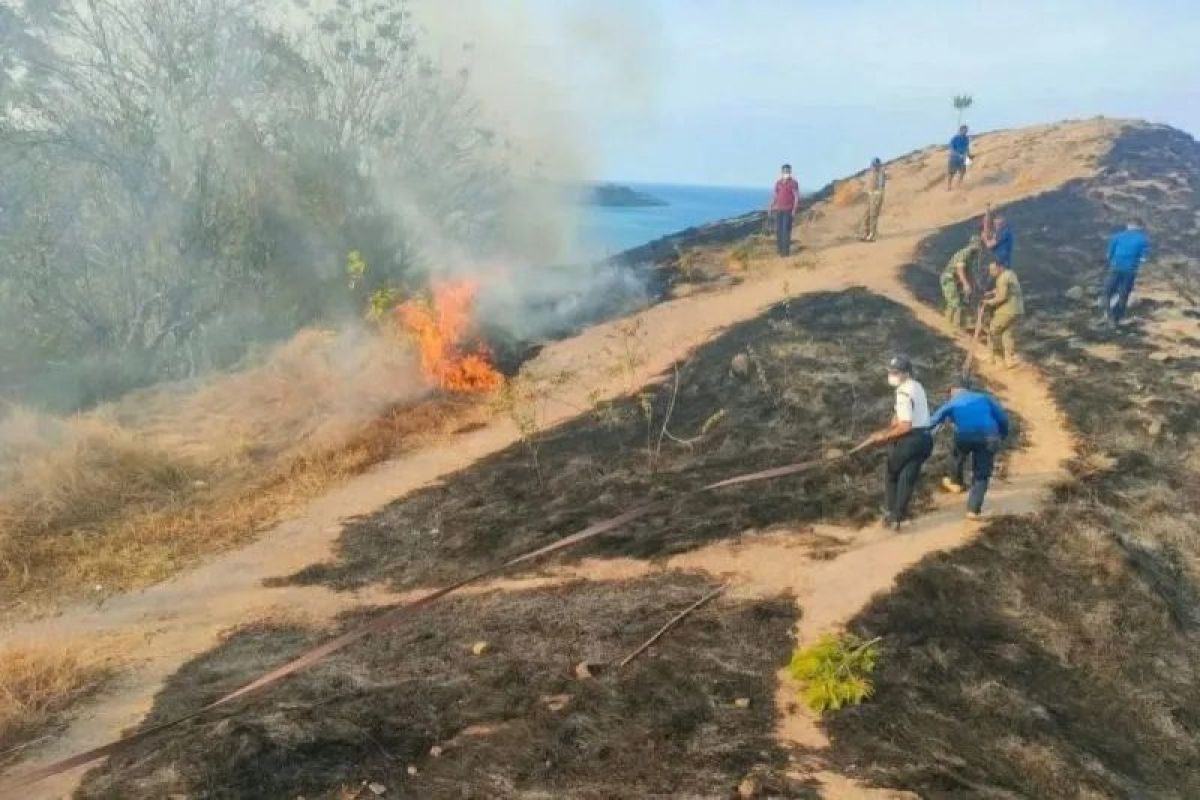 BMKG ingatkan masyarakat NTT waspada angin kencang