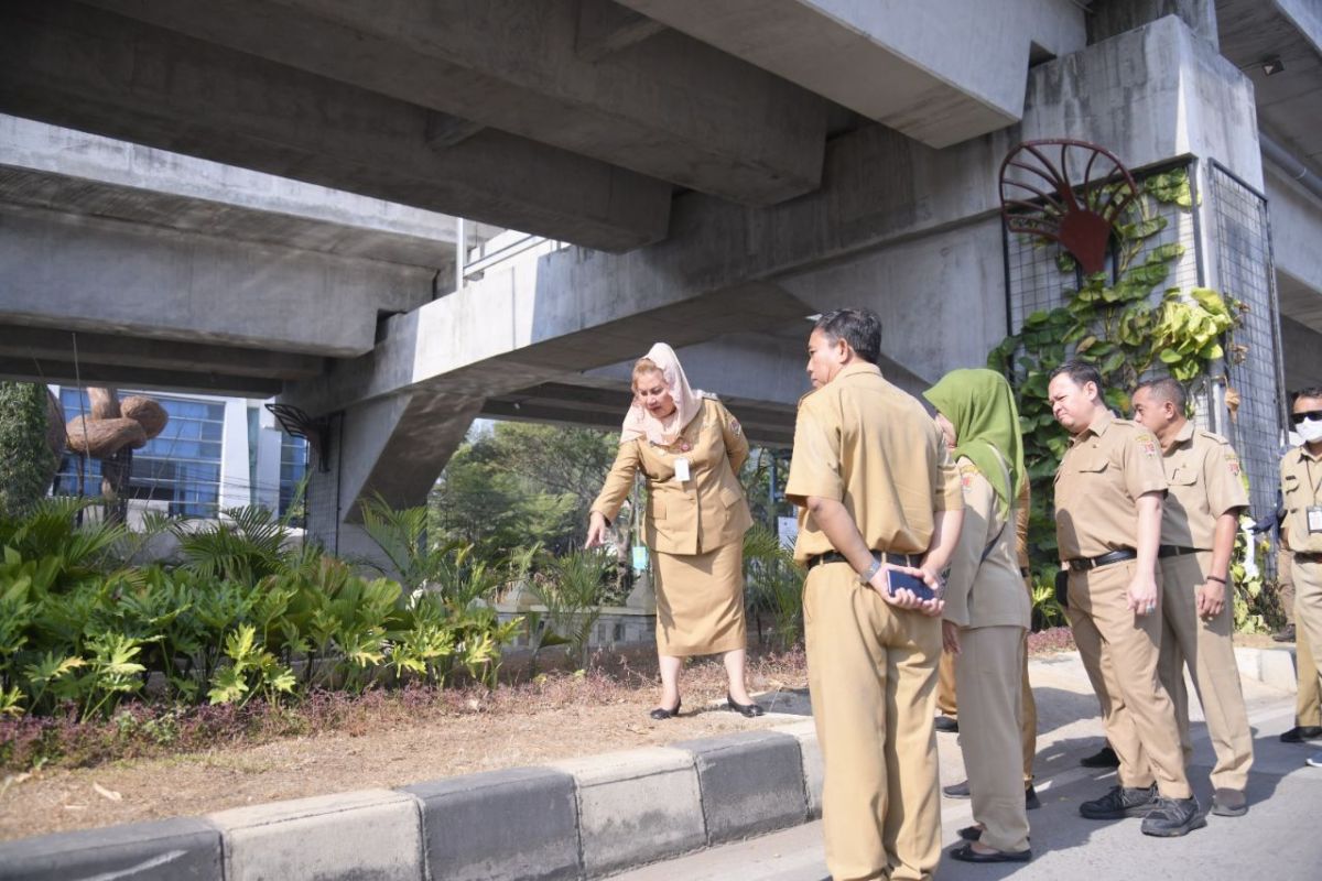 Wali Kota Semarang ungkap tanaman taman kota kering dampak kemarau