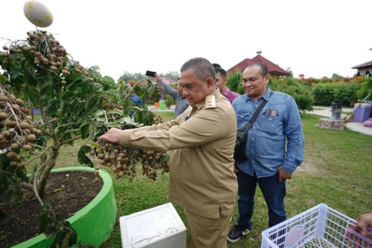 Wagubri : Ayo tanam klengkeng di lahan kosong