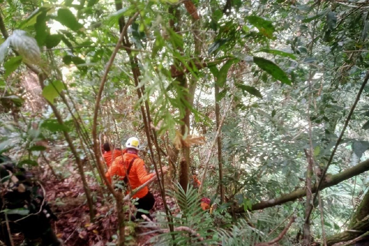 Basarnas Jambi cari dua warga hilang di hutan