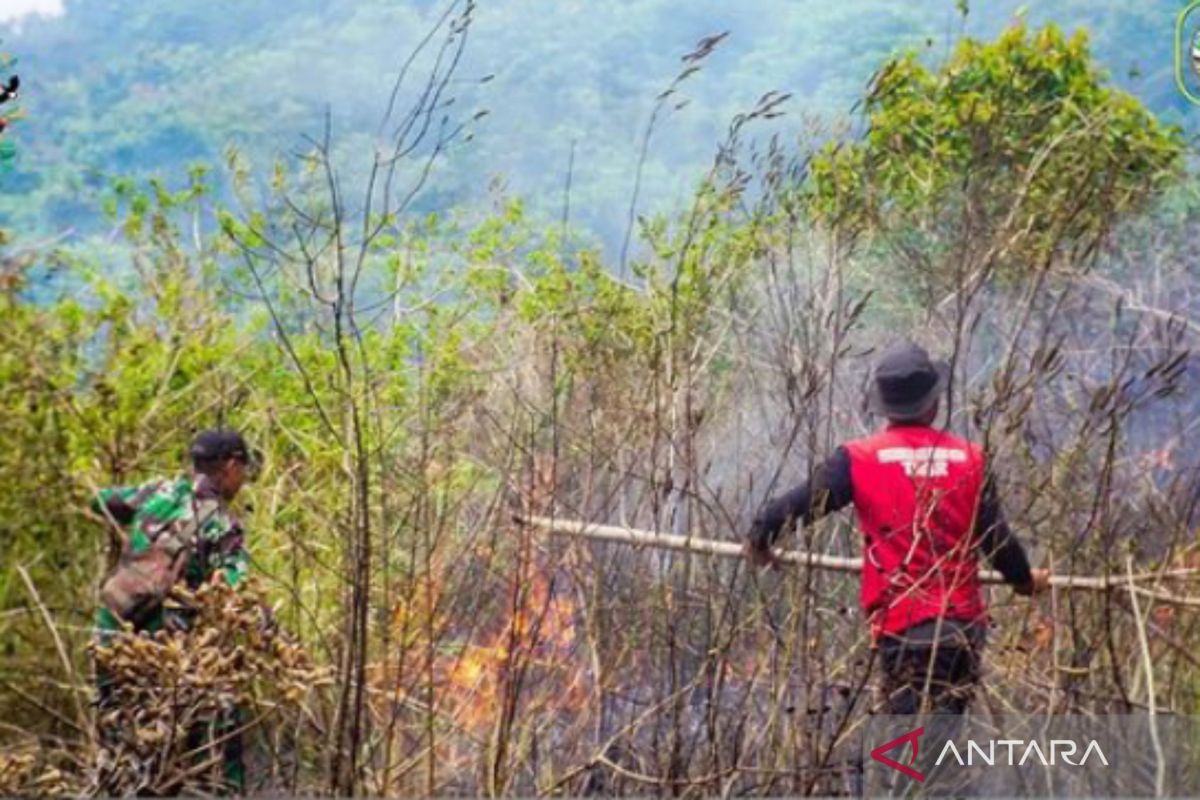 Balai TNGR-NTB sebut kebakaran lahan berhasil dipadamkan