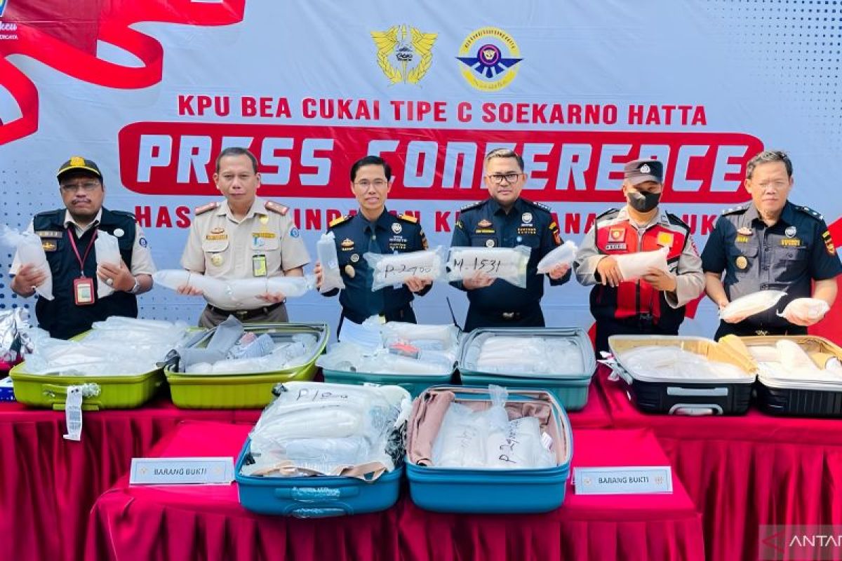 Bea Cukai gagalkan penyelundupan benih lobster senilai Rp26,5 miliar