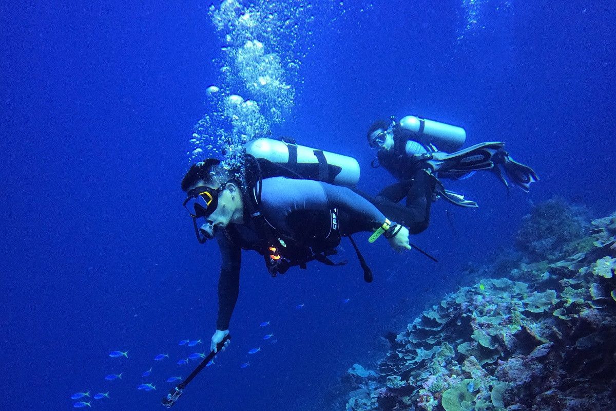 Menikmati Keindahan Bawah Laut Pulau Tomia Wakatobi Antara News Sulawesi Tenggara Antara