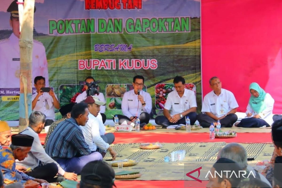 Bupati Kudus instruksikan ASN borong kencur  petani